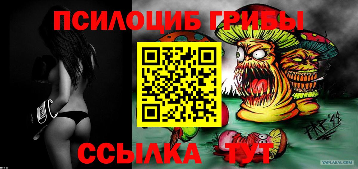 Галлюциногенные грибы прущие грибы  Вход с VPN  Псилоцибиновые грибы Psilocybe  Саяногорск 